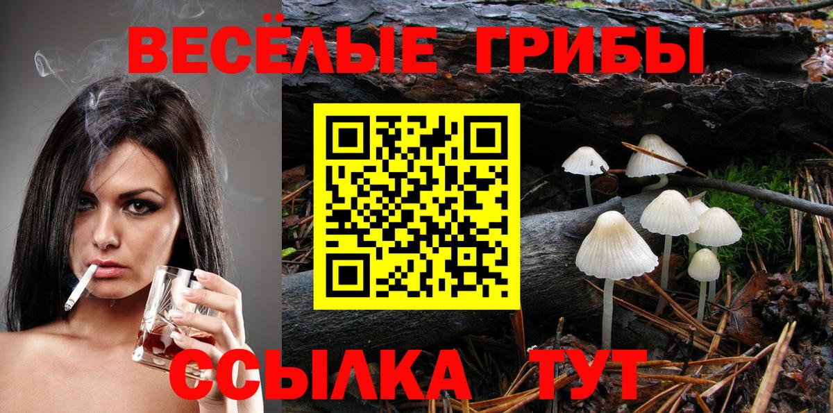 Псилоцибиновые грибы MAGIC MUSHROOMS  Вход с VPN  продажа наркотиков  Острогожск 