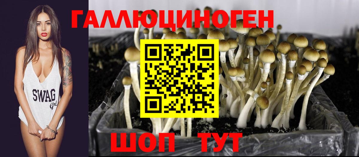 A-PVP Острогожск